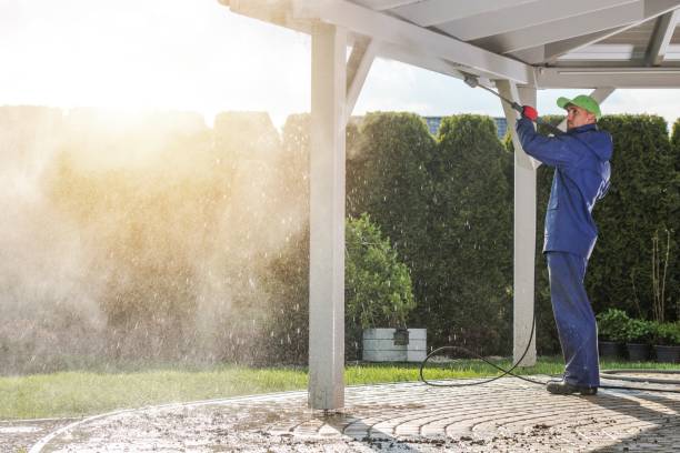 Best Gutter Cleaning  in Spring Valley, IL